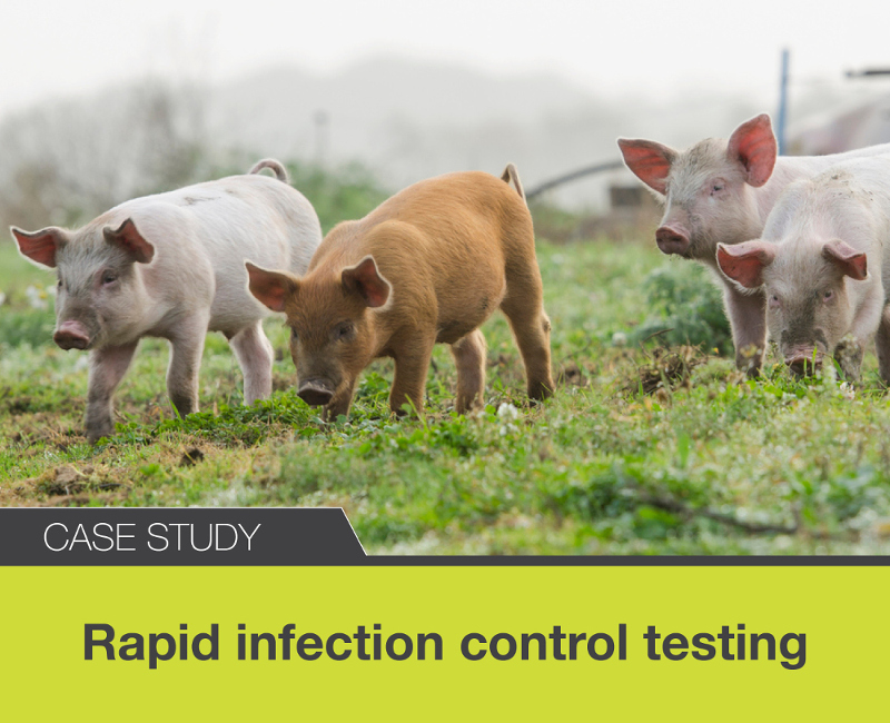 Rapid infection control in pig field