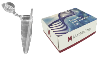MagicTip DNA isolation kit